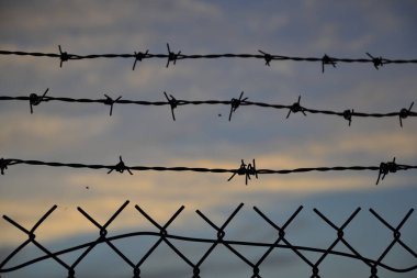 Günbatımında örümceklerle dikenli tel örümcekler, Varşova bemowo, Polonya