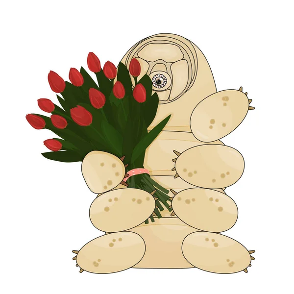 Beige Cute Tardigrade Holds Bouquet Red Tulips Which Consists Thirteen — Stock Vector