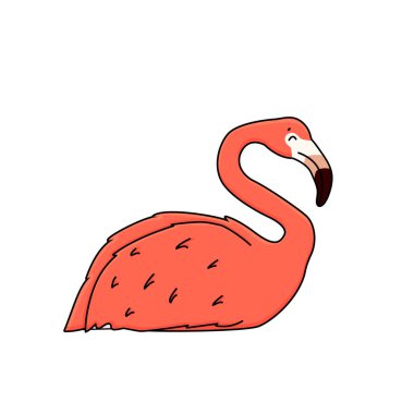 Beyaz arka planda izole edilmiş pembe şeftalili flamingo. Karalama hayvanı yerde yatıyor, uyuyor, bacakları görünmüyor, gözleri kapalı, yandan bakıyor.