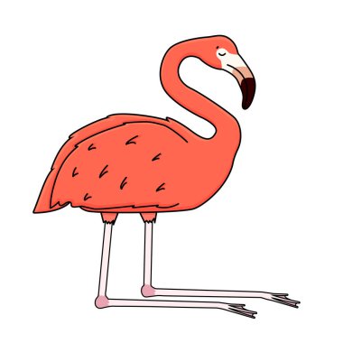 Beyaz arka planda izole edilmiş pembe şeftalili flamingo. Karalama hayvanı diz çökmüş, gözleri kapalı uyur.