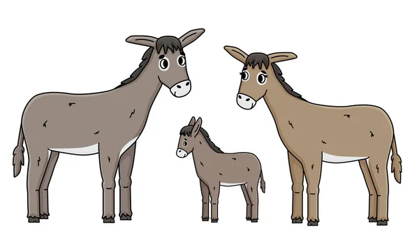 Bonito Esboço Desenho Animado Mão Desenhada Família Burro Gray Male —  Vetores de Stock