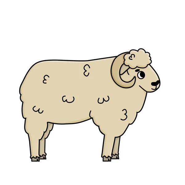 ベクトル手描きのドアドア白やベージュのファームラム動物 かわいい漫画のオスの羊は右に見えます 隔離された文字は白の背景 サイドビューにあります — ストックベクタ