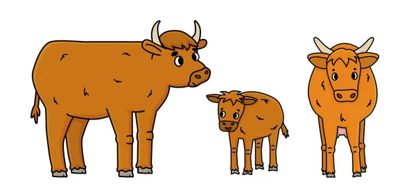 Vector Καφέ Doodle Περίγραμμα Πατέρα Ταύρο Μητέρα Οικόσιτη Αγελάδα Και — Διανυσματικό Αρχείο