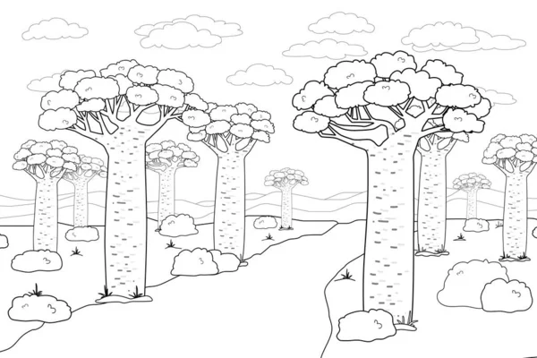 Černobílý Vektor Obrys Africké Madagaskar Baobab Ulici Nebo Avenue Kreslené — Stockový vektor