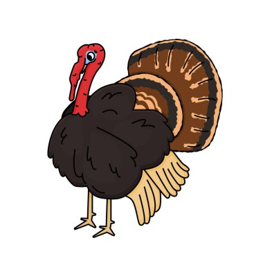 Vektör çizgi film ana hatları, erkek hindi. Beyaz arkaplanda izole edilmiş el çizimi hayvan resimleri