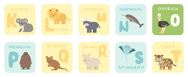 Cute K-T alphabet cards with cartoon savannah African animals. Vector zoo illustrations. Koala, lion, Muskox, narwhal, ostrich, penguin, quokka, rhino, stingray, tiger. Flat style — Stock Vector