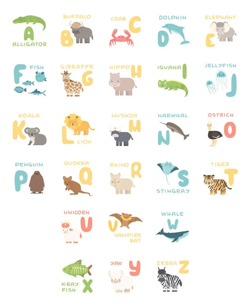 Cute alphabet poster with cartoon animals. Vector zoo illustrations of Alligator buffalo crab dolphin fish giraffe hippo koala lion Muskox ostrich penguin rhino stingray tiger whale — Stock Vector