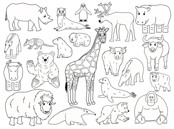 Set of doodle animals. Vector outline cartoon isolated graphic hand drawn illustration. Giraffe bear orangutan ox rhino wombat highland cow seal tapir anteater yak hippo capybara penguin armadillo — Stock Vector
