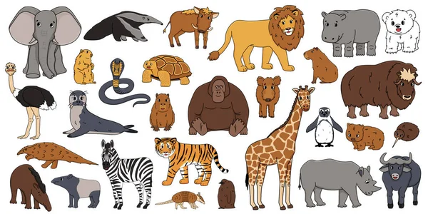 Cute Vector Isolated Animals Big Set Elephant Orangutan Monkey Lion — Stock Vector