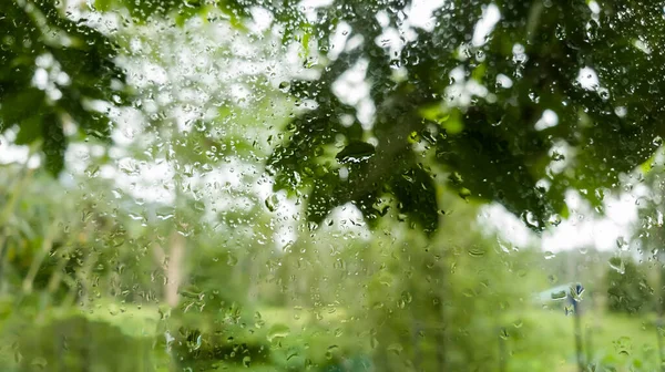 Krople Wody Przezroczyste Okno Deszczu Zielonym Naturalnym Tle — Zdjęcie stockowe