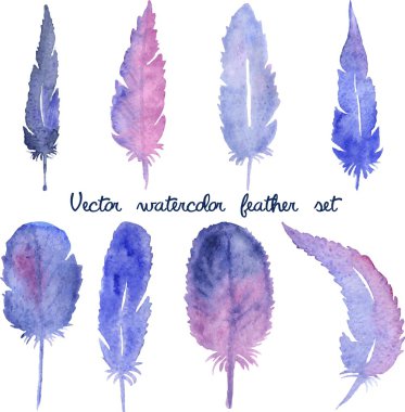 Vektör suluboya elle çizilmiş tüyler kümesi