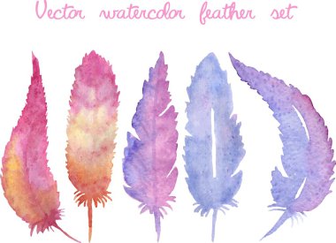 Vektör suluboya elle çizilmiş tüyler kümesi