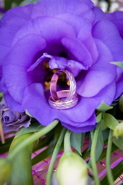 Golden wedding rings on eustomas — Stock Photo, Image