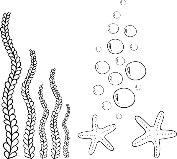 바다 조류, Seastar와 흰색 절연 거품. 벡터 일러스트 레이 션 — 스톡 벡터