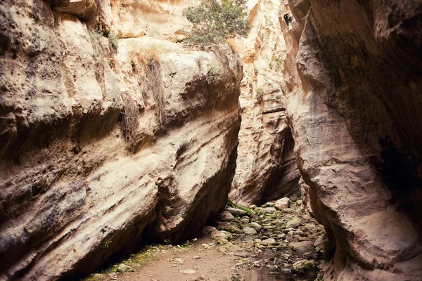 Weergave van de avakas kloof canyon — Stockfoto