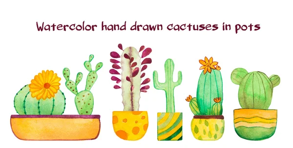 Sada akvarel kaktus — Stock fotografie