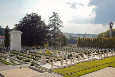 Lviv, Ukrayna Lychakiv mezarlığında Lehçe mezar taşları. 