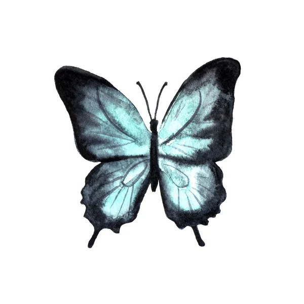 Acquerello disegnato a mano farfalla — Foto Stock