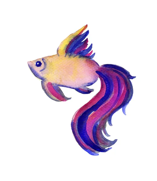 Vacker akvarell levande bild av en fisk — Stockfoto