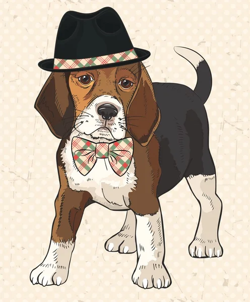 Fashion dog with trendy hat and bow tie — Stock Vector