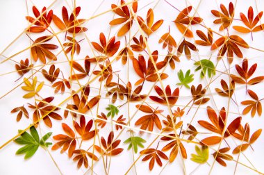 suluboya defteri elemanları izole bırakır