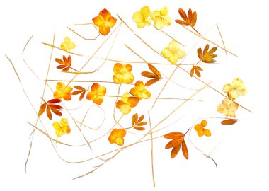 suluboya defteri elemanları izole bırakır