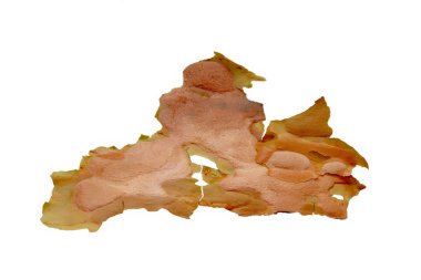 ince şeffaf hamur, düşen yapraklar sonbaharda zaman bir parça,