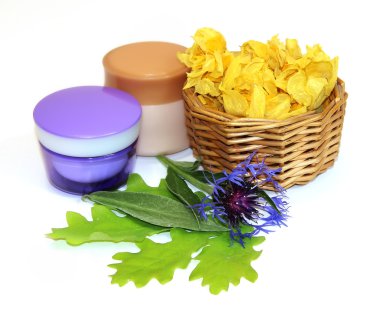 doğal krem çiçek knapweed, Meşe yaprağı jar, dokuma hasır güneşlenmek