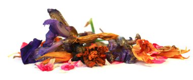 narin çiçekler, yapraklar ve yaprakları PR Sardunya, Petunya, Kuru