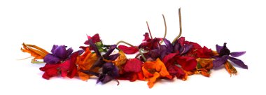 narin çiçekler, yapraklar ve yaprakları PR Sardunya, Petunya, Kuru