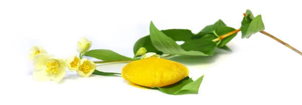 Fryst frukt, citronsaft frysta isbitar isolerade på vit ba — Stockfoto