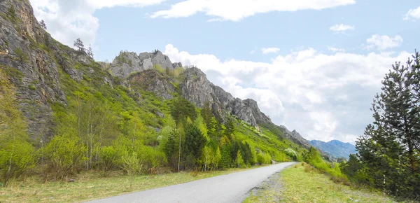 Pintura Montañas Altai; carretera, plantación de hierbas medicinales — Foto de Stock