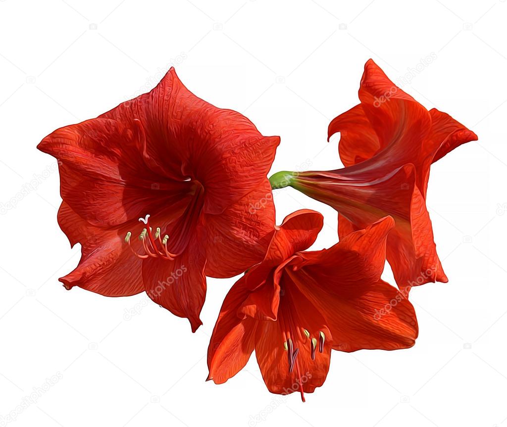 Peinture Chinoise De Papier Textureline Dessin Fleurs Et Des