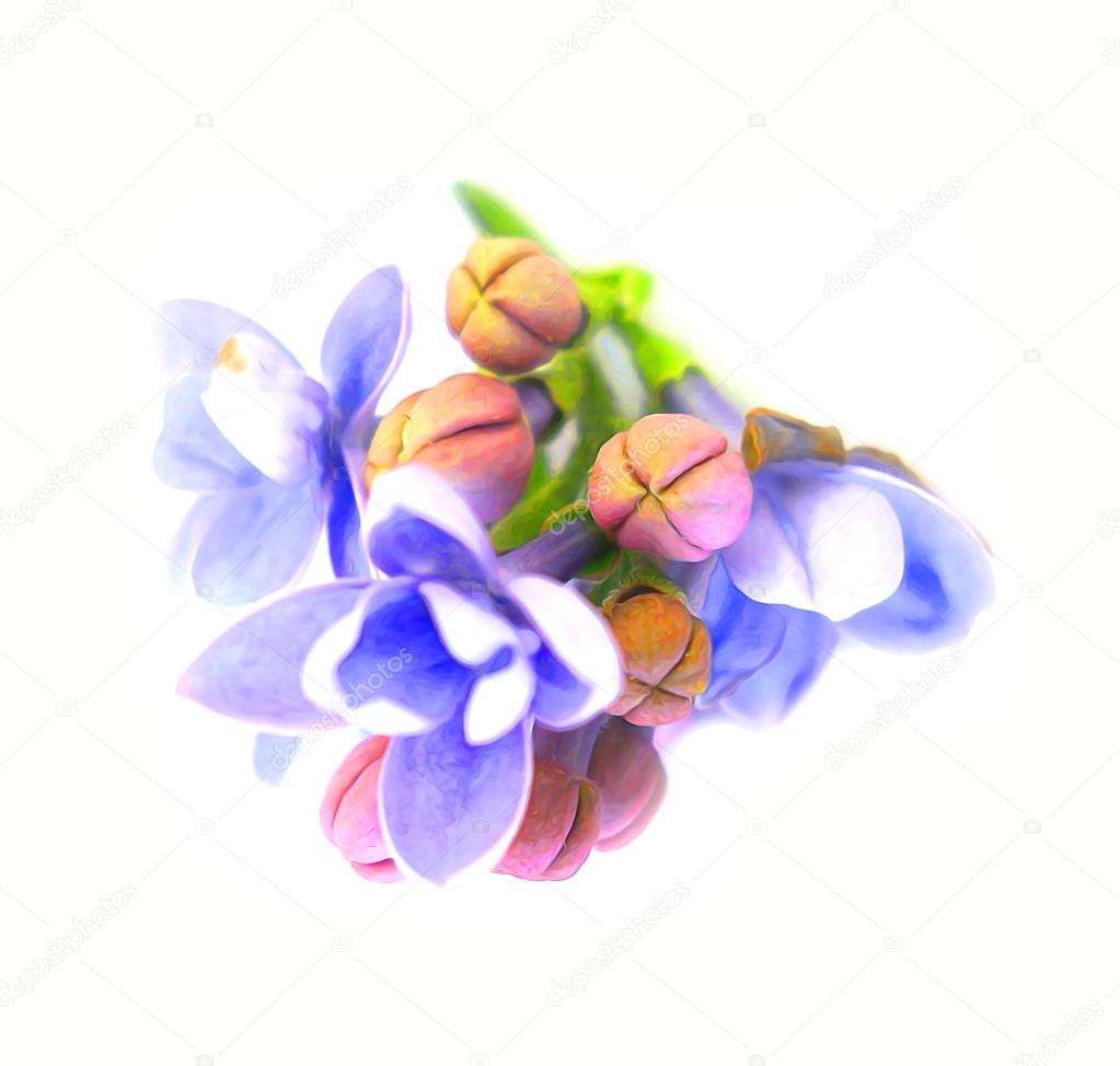 Bluten Malen Floral Painting With Acrylic Colors Demo Bluten Malen Floral Painting With Acrylic Colors Demo