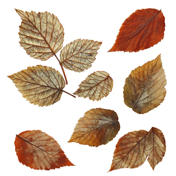 När färg torkar faller silver leaf hallon element — Stockfoto