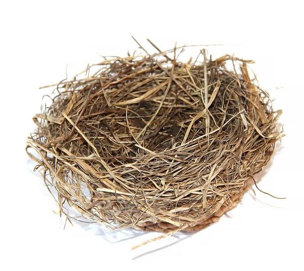 Oil paint dry leaf grass the retinue of a bird's nest on branch — Stock Photo, Image