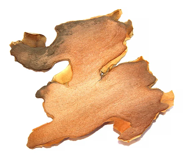 ince yarı saydam çam kabuğu izole eleme bir parça yağ çekme