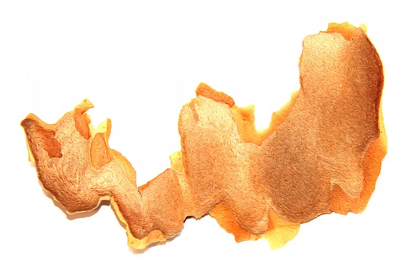 ince yarı saydam çam kabuğu izole eleme bir parça yağ çekme