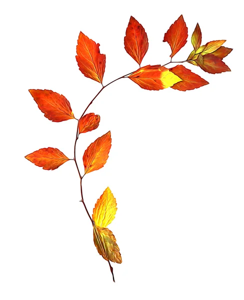 Aceite de hoja roja dibujar delicadas hojas secas ramita de abedul flexible con d — Foto de Stock