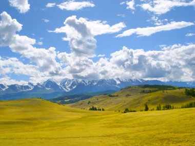 sonbahar manzara yağlı boya. Altay Dağları temiz hava undisturbe