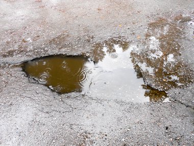 bir su birikintisine yansıyan ağaçları ile ıslak asfalt kaplama