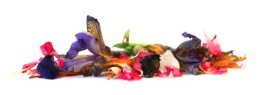 narin çiçekler, yapraklar ve yaprakları PR Sardunya, Petunya, Kuru