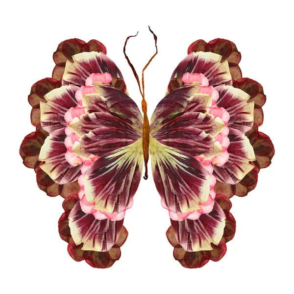 Blütenschmetterling aus Blumen — Stockfoto