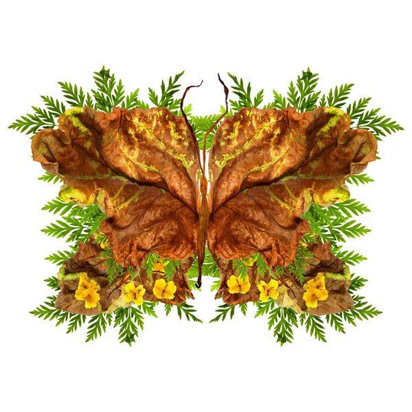 Floral butterfly vyrobený z květů a listů — Stock fotografie