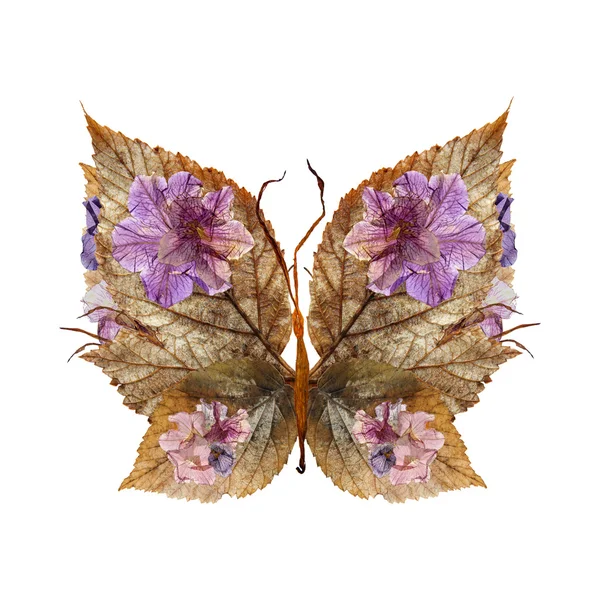 Bloemen vlinder gemaakt van bloemen en bladeren — Stockfoto