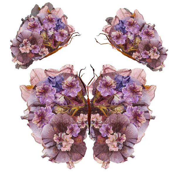 Papillon floral fait de fleurs — Photo