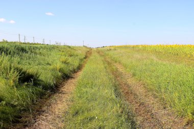 Bir alan üzerinden haddelenmiş yol