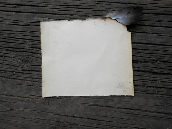 Old burnt paper, feather, vintage — Stock Photo, Image