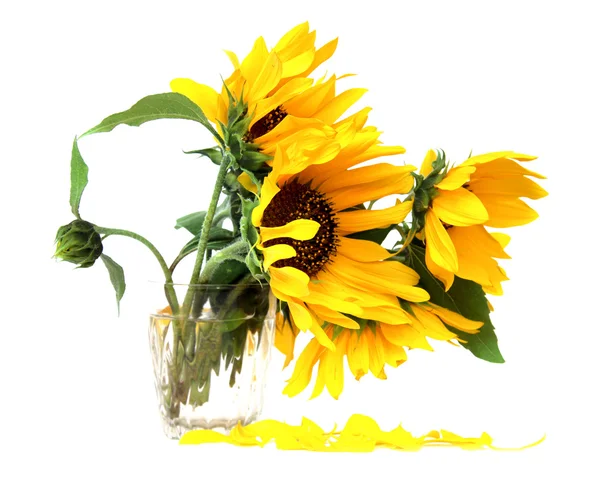 Gele bloemen in vaas — Stockfoto