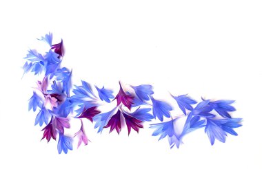 Fotoğraf manipülasyon mavi Peygamber Çiçeği